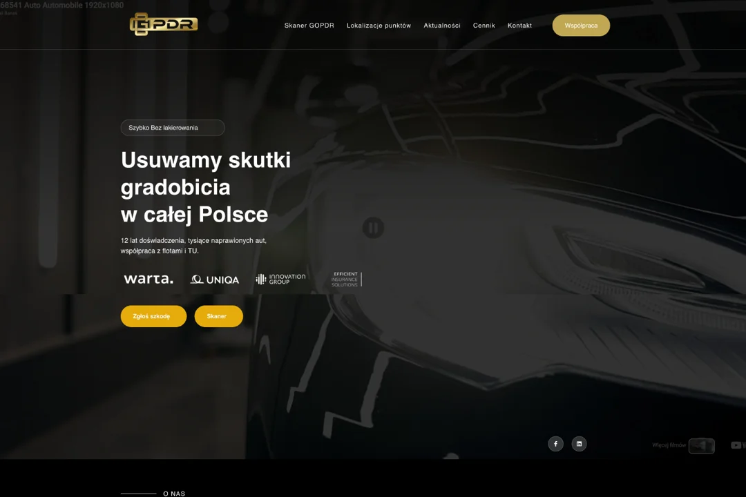 GOPDR: strona główna — fragment
